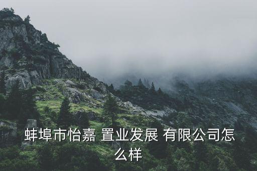  蚌埠市怡嘉 置业发展 有限公司怎么样