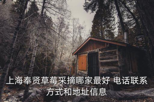 上海奉贤草莓采摘哪家最好 电话联系方式和地址信息