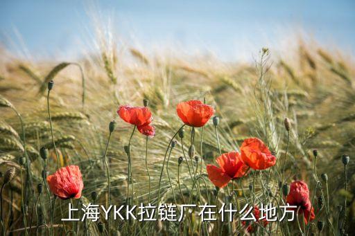  上海YKK拉链厂在什么地方