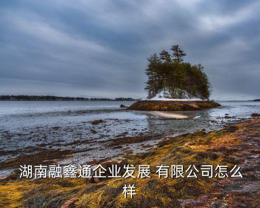  湖南融鑫通企业发展 有限公司怎么样