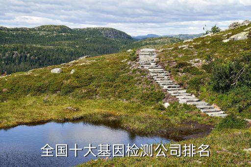 全国十大基因检测公司排名