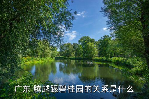 广东 腾越跟碧桂园的关系是什么