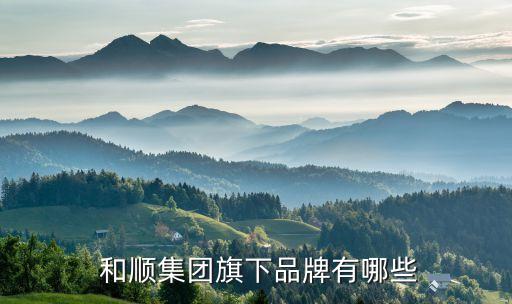  和顺集团旗下品牌有哪些