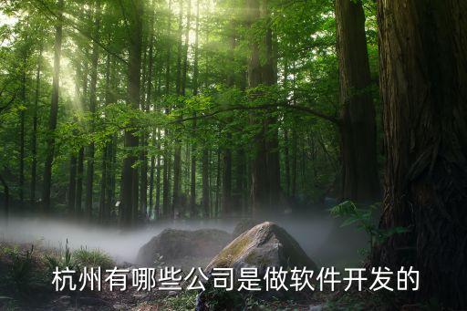  杭州有哪些公司是做软件开发的