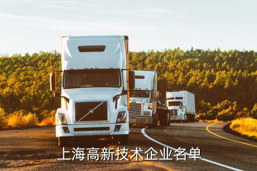  上海高新技术企业名单