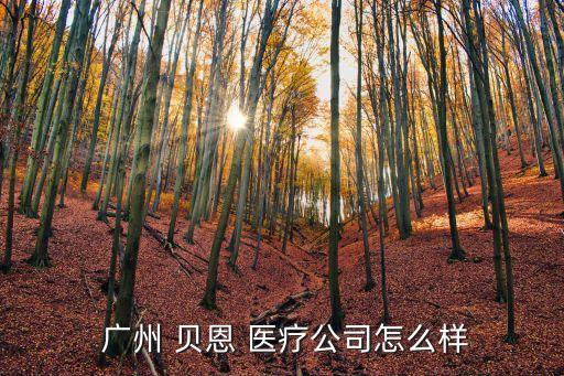  广州 贝恩 医疗公司怎么样