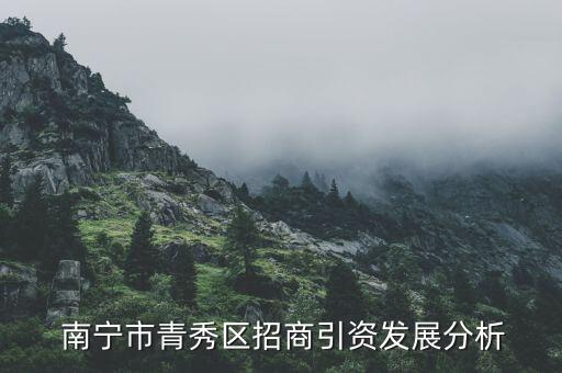  南宁市青秀区招商引资发展分析