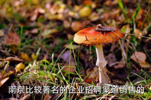 南京周顾信息科技有限公司怎么样
