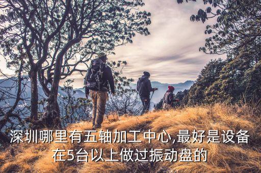 深圳哪里有五轴加工中心,最好是设备在5台以上做过振动盘的