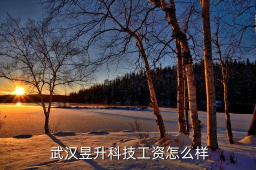 武汉昱升光器件有限公司招聘