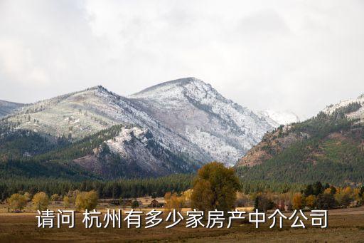 请问 杭州有多少家房产中介公司