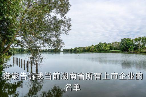 空港实业有限公司,济南晨光空港实业有限公司