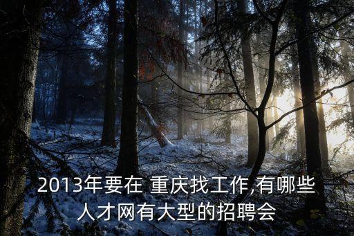 重庆创安科技有限公司南充分公司,南充中科九微科技有限公司招聘信息