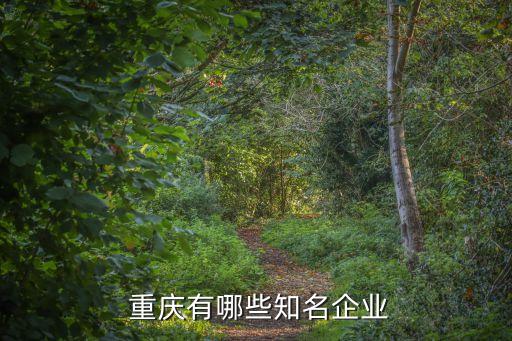  重庆有哪些知名企业
