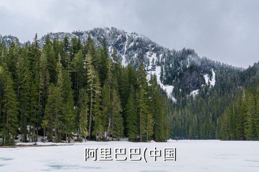 阿里巴巴(中国