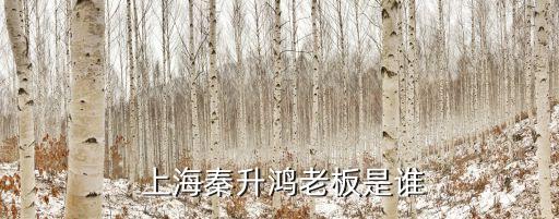  上海秦升鸿老板是谁