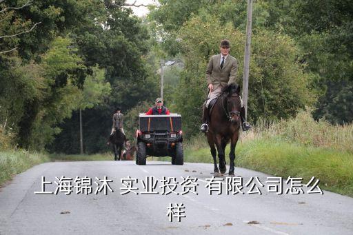  上海锦沐 实业投资 有限公司怎么样