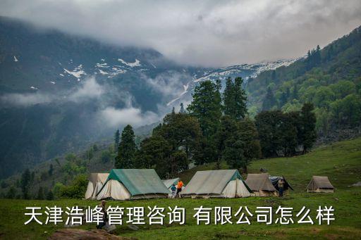 天津浩峰管理咨询 有限公司怎么样