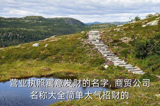 营业执照寓意发财的名字, 商贸公司名称大全简单大气招财的