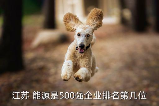 江苏 能源是500强企业排名第几位