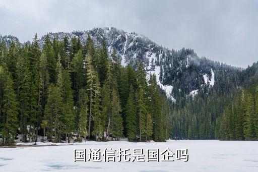  国通信托是国企吗