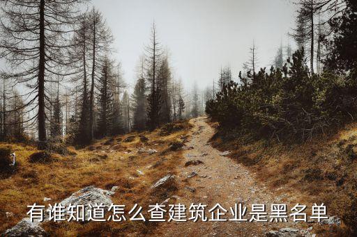 有谁知道怎么查建筑企业是黑名单