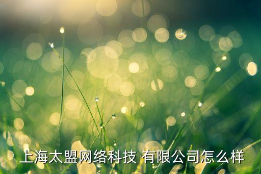  上海太盟网络科技 有限公司怎么样