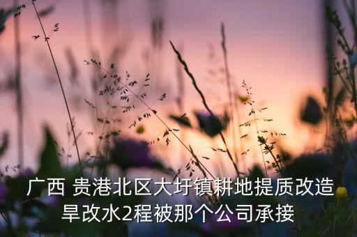 广西贵港建设集团有限公司 地址