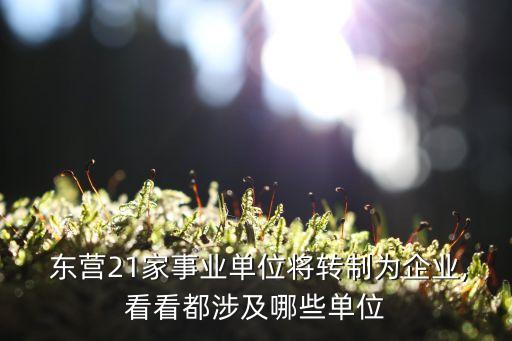 东营测绘有限公司,河南省苍盛测绘有限公司
