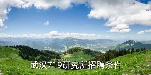  武汉719研究所招聘条件