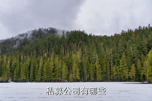 私募公司有哪些