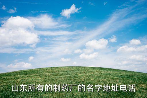 山东所有的制药厂的名字地址电话