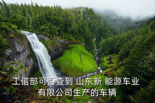 工信部可否查到 山东新 能源车业 有限公司生产的车辆