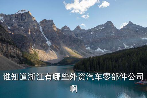 谁知道浙江有哪些外资汽车零部件公司啊