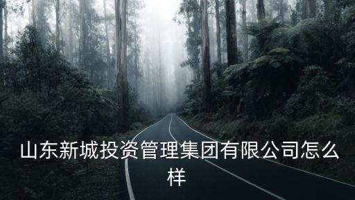  山东新城投资管理集团有限公司怎么样