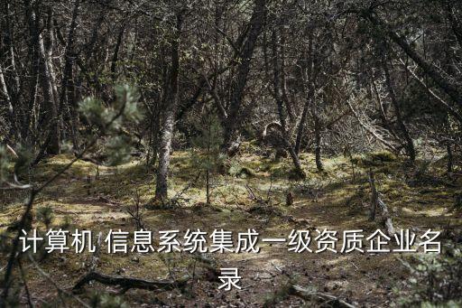 计算机 信息系统集成一级资质企业名录