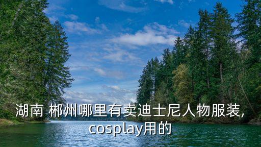 湖南 郴州哪里有卖迪士尼人物服装,cosplay用的