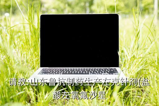 请教:山东鲁抗制药生产左克针剂(盐酸左氧氟沙星
