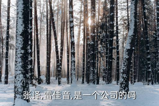 张译,雷佳音,是一个公司的吗