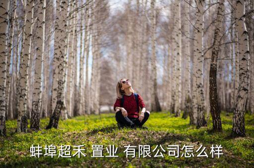 蚌埠超禾 置业 有限公司怎么样