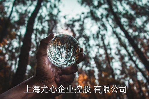 上海澳廷国际贸易有限公司,上海升澳国际贸易有限公司