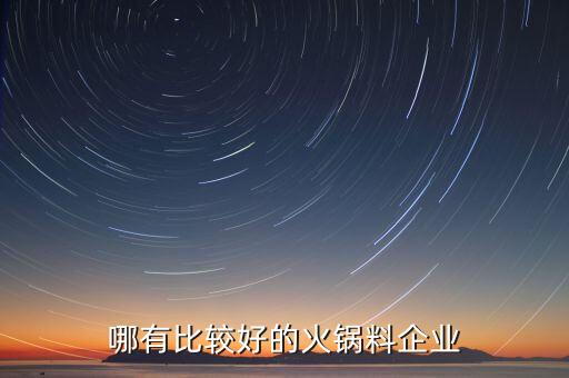 哪有比较好的火锅料企业