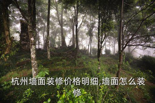  杭州墙面装修价格明细,墙面怎么装修