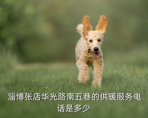  淄博张店华光路南五巷的供暖服务电话是多少