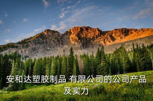 安和达塑胶制品 有限公司的公司产品及实力