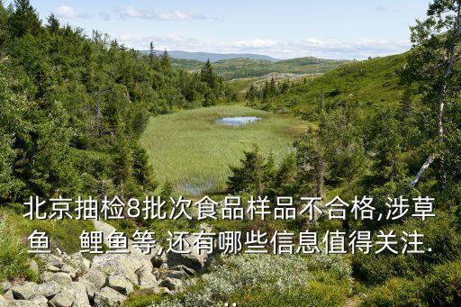 北京抽检8批次食品样品不合格,涉草鱼、鲤鱼等,还有哪些信息值得关注...