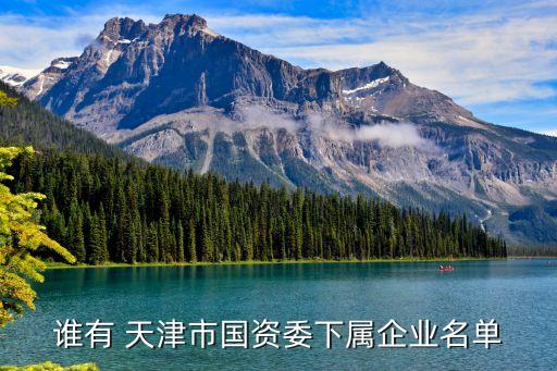 泰恩博能燃气设备 天津 有限公司