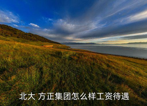  北大 方正集团怎么样工资待遇
