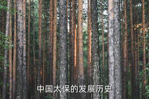 中国太保的发展历史