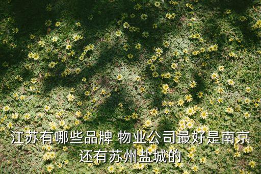 江苏有哪些品牌 物业公司最好是南京还有苏州盐城的